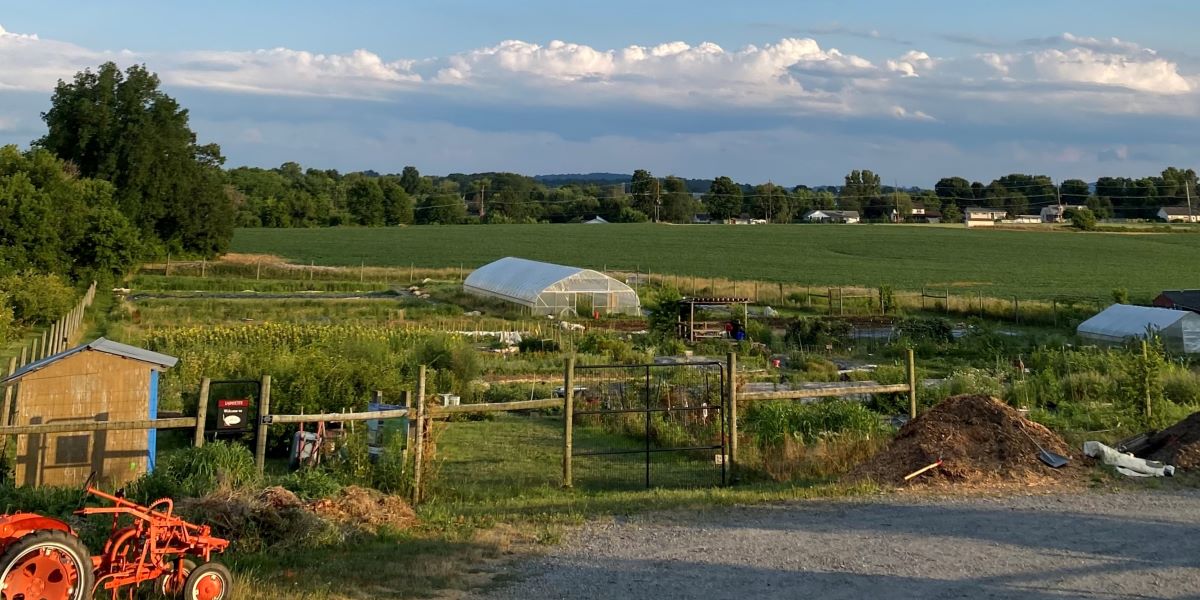 A small farm with a greenhouse in the center of the image and fence around it. A cornfield stretches into the distance beyond the farm.