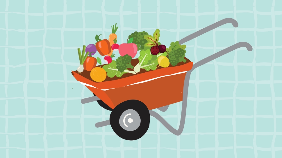 A graphic of a wheelbarrow with fresh fruits and vegetables inside