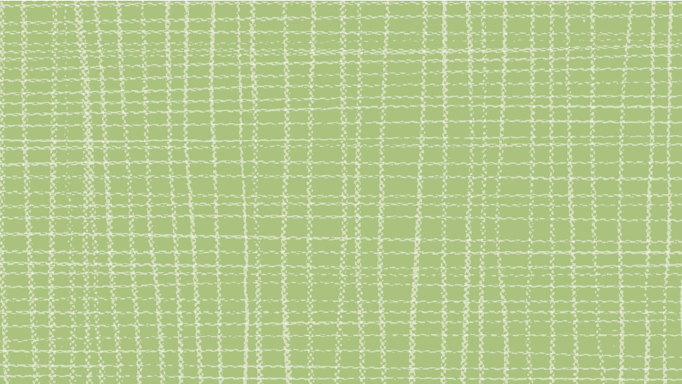 A lattice pattern on a green background