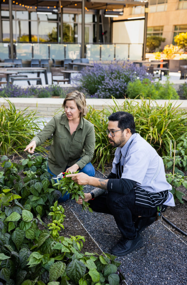 From the Rooftops: California Bountiful Highlights Stem Kitchen and Garden