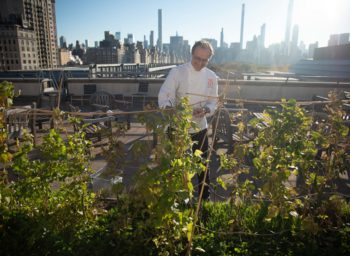 Growing a Garden Atop New York’s Most Famous Museum