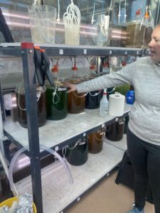 Hatchery Manager Shawna Chamberlin shows off the many types of algae used to feed larval shellfish.