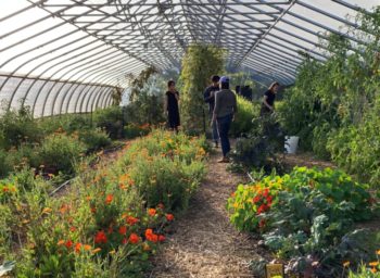 Cultivating Climate Solutions at the Knox College Farm