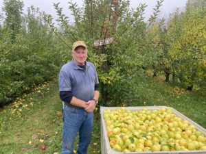 Horse Listeners Orchard General Manager Rick Hutton poses with a bin of freshly picked Golden Delicious apples.