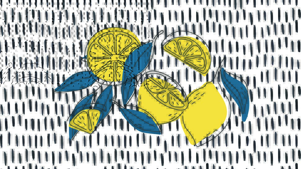 stylized lemons on a white background with black dashes