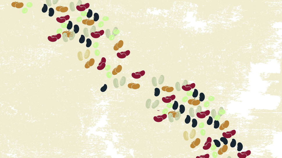 A cascade of multi-colored beans descends across a tan textured background