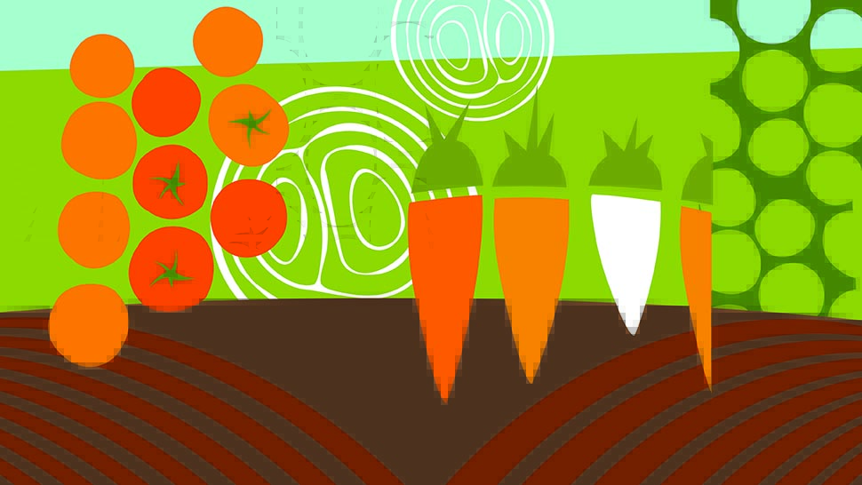 Carrots and tomatoes on a cartoon field background