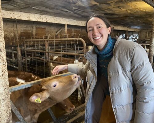 From Cow to Café: Vassar Students Tour Storied Local Dairy Farm