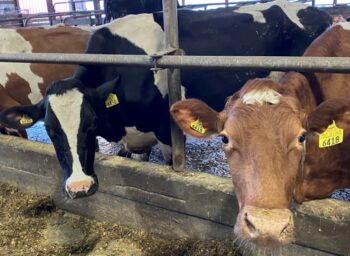Keeping Hudson Valley Dairy Farmers Milking