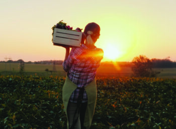 Sowing Success: Local Food Purchasing Insights from 25 Years of the Farm to Fork Program
