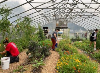 Campus Farms Provide More Than Produce to School Communities