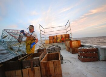 Two guys, a van, and a cooler full of North Carolina fish: The story of Locals Seafood