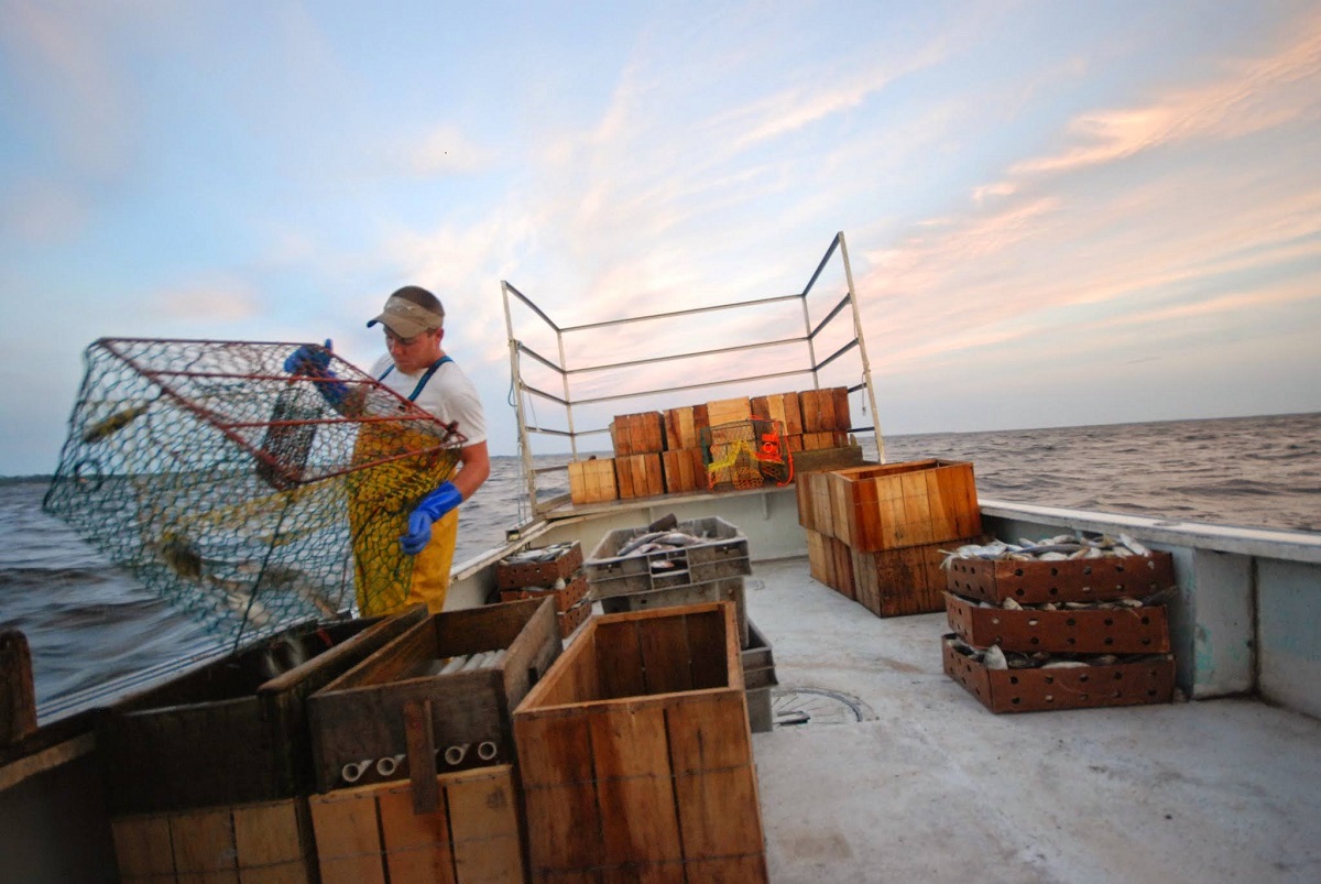 A fisherman on the deck of a boat hauling a trap out of the water
