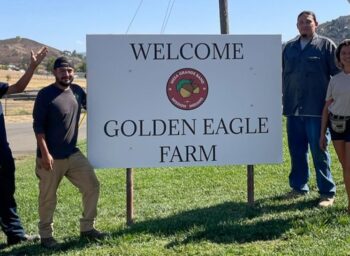 Meet Golden Eagle Farm