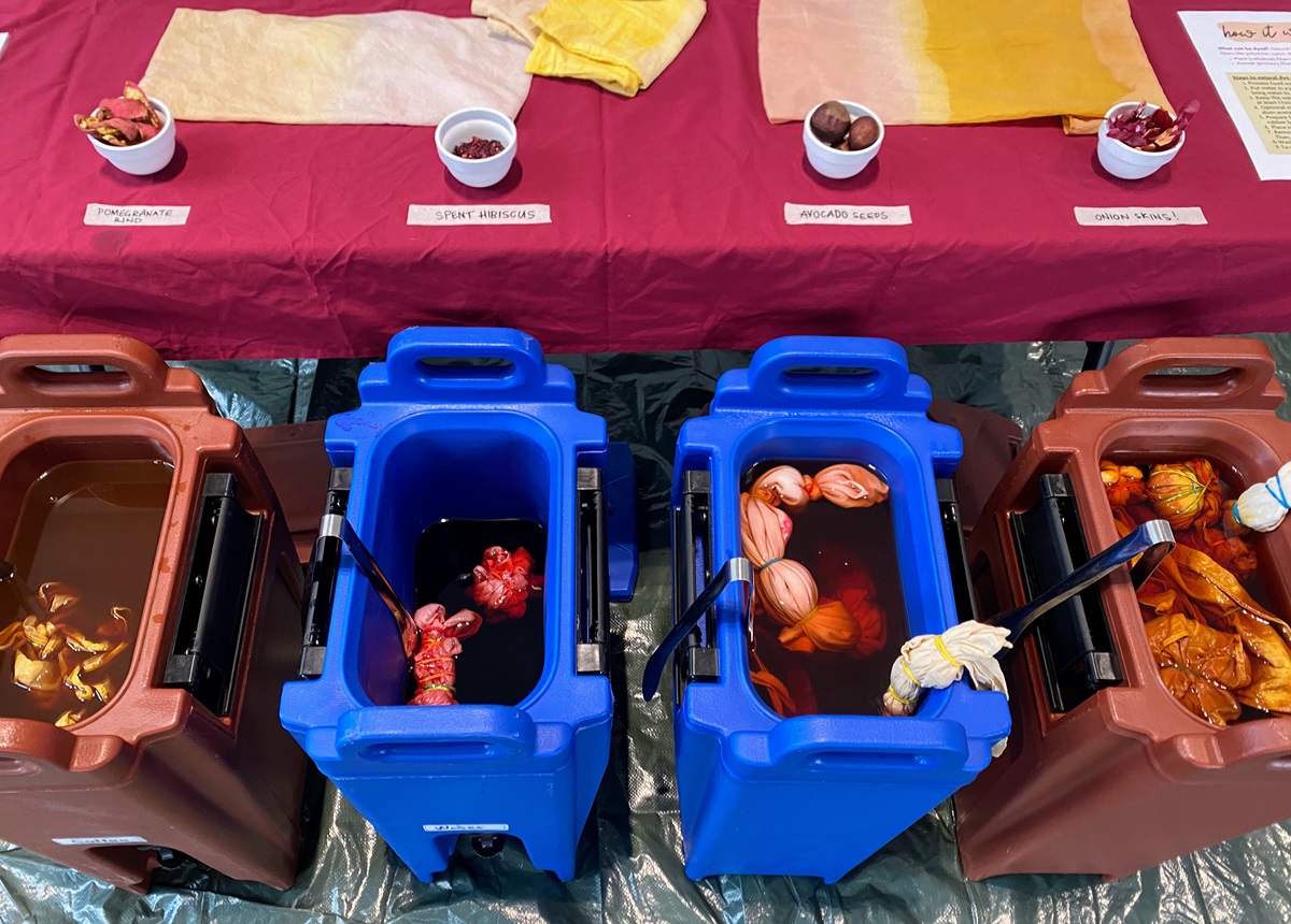 A row of vessels holding plant based dye. 