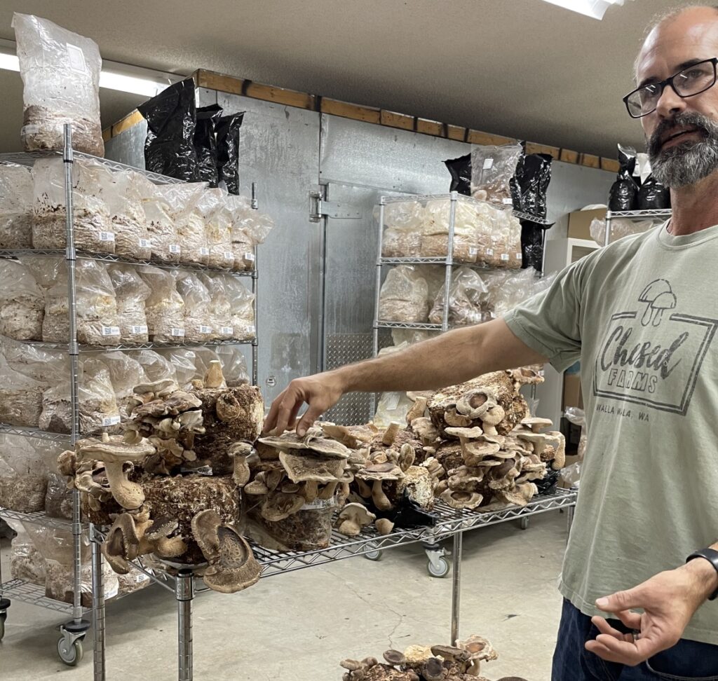 A man stands next to racks of mushrooms being cultivated indoors. 