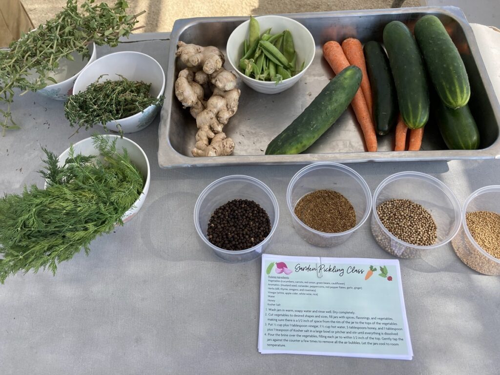 Vegetables and pickle ingredients are displayed on a table