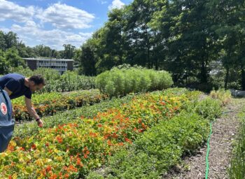 From Community Composting to National Strategies: Blueprints for Food Loss and Waste Reduction at ReFED’s Food Waste Summit