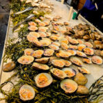 A table of raw shucked oysters and clams on ice with seaweed