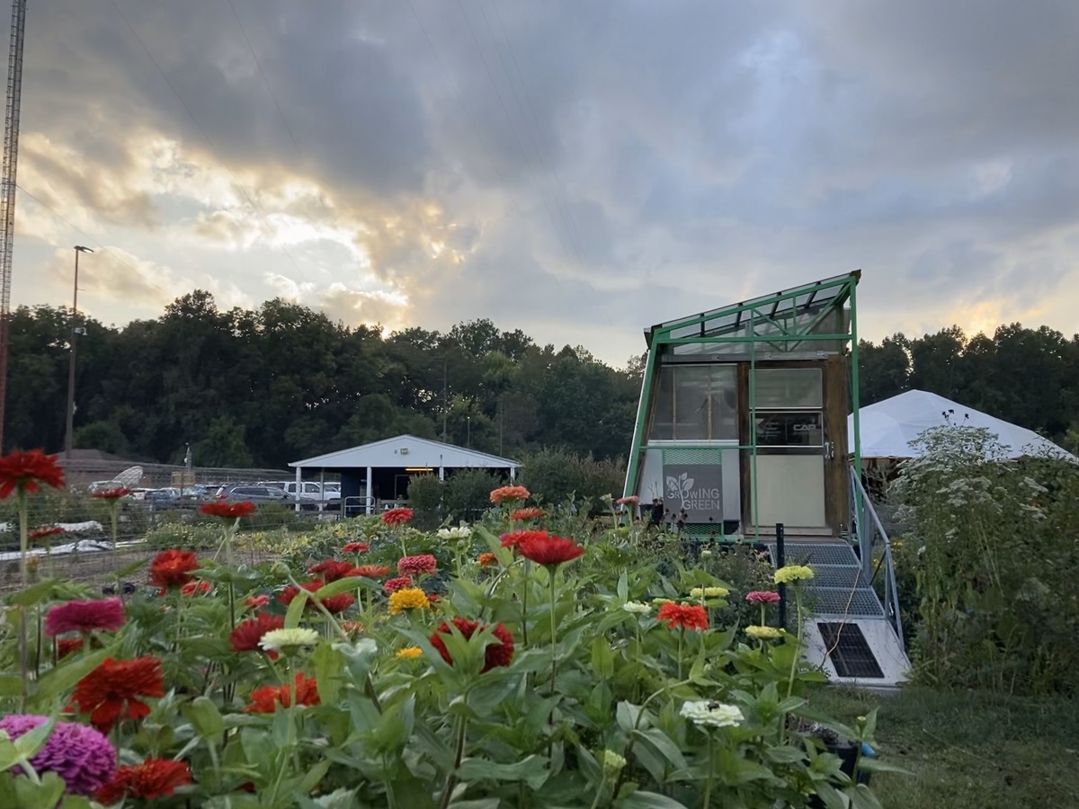 A view of flowers, fields, and a dramatic sky at a farm. 