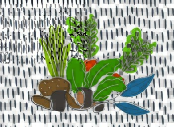 Our Commitment to Reducing Food Waste