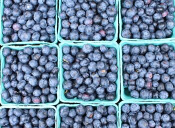 What We Mean When We Talk About Food Literacy