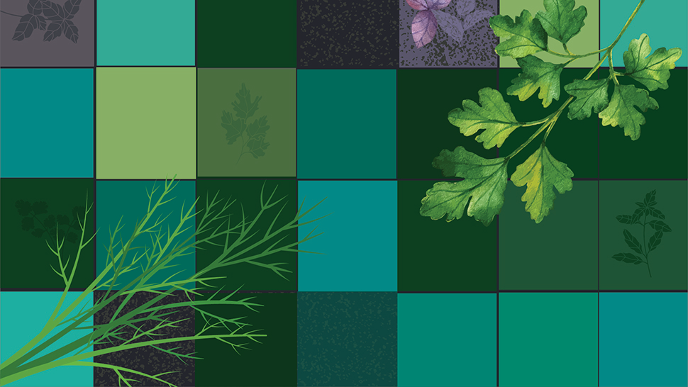 Blue-green decorative grid patern with illustrations of herbs overlaid