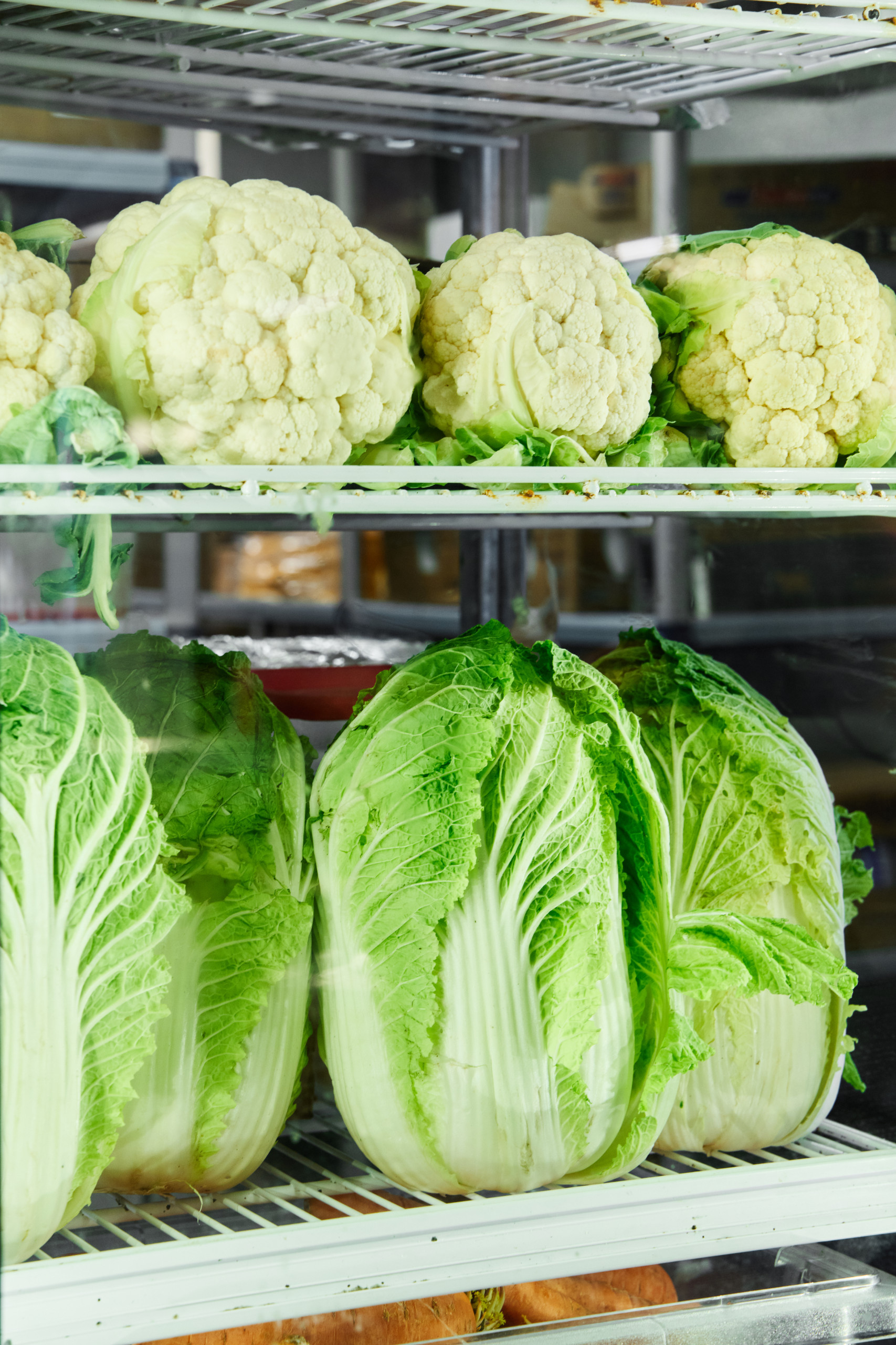 cauliflower and lettuce in fridge
