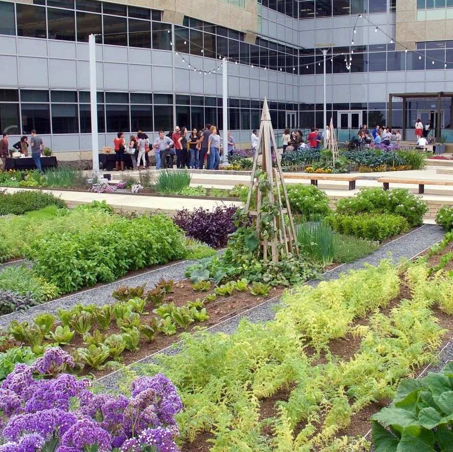 outside dining and farm