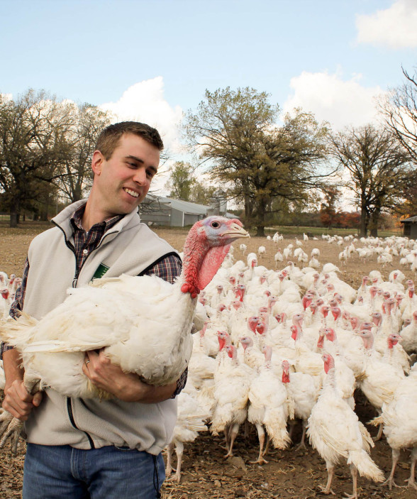 Farmer holding turkey with flock in background