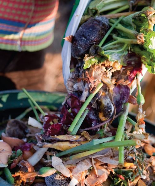 composting sustainability