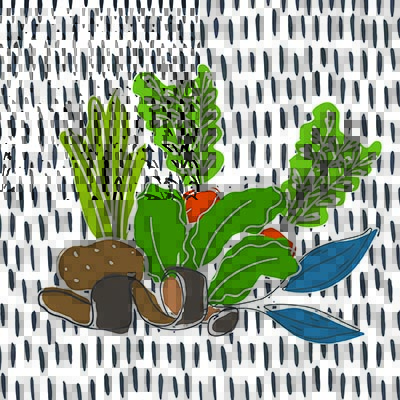 Waste Not, Want Not: 24 Tips to Reduce Food Waste Using Fruits and ...