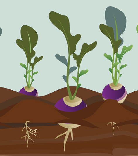 pinched fingers illustration