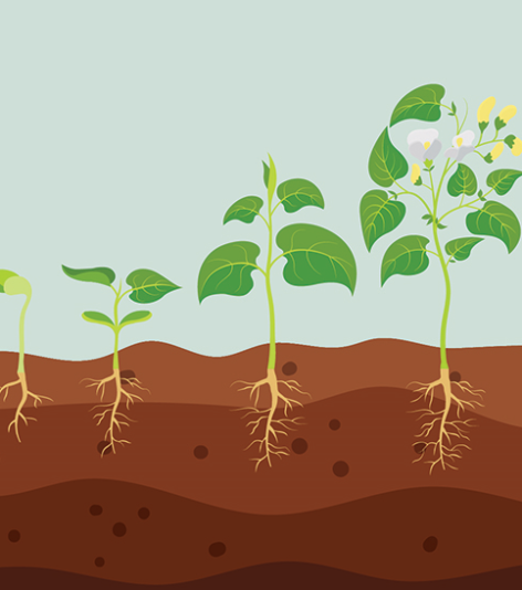 pinched fingers illustration