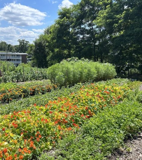 pinched fingers illustration