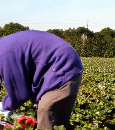 pinched fingers illustration