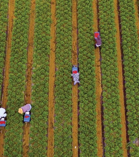 pinched fingers illustration