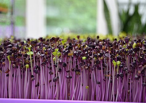 pinched fingers illustration