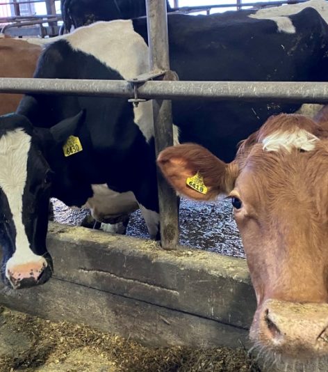 pinched fingers illustration