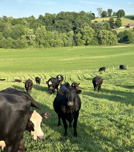 pinched fingers illustration