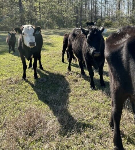 pinched fingers illustration