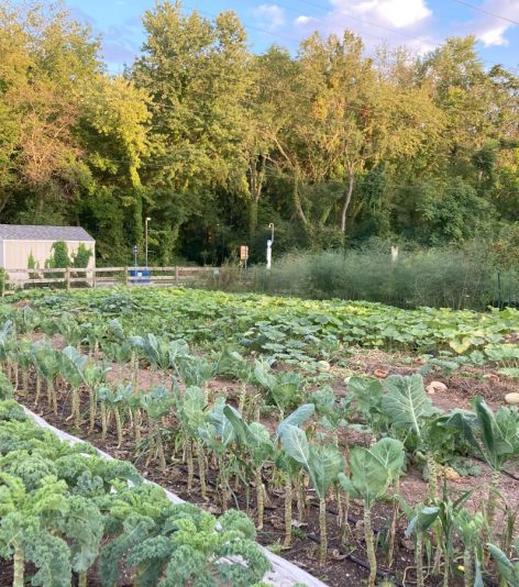 pinched fingers illustration