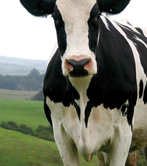 pinched fingers illustration