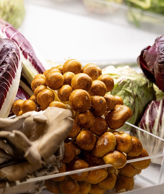 mushrooms of some sort