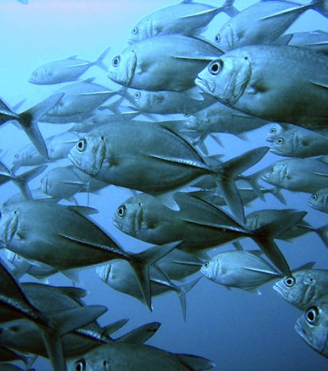 pinched fingers illustration