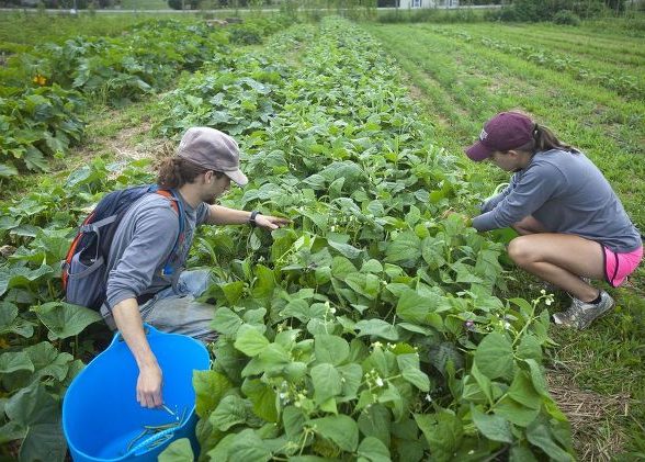 lafayette-farm_hometalk-news-clip-only-2