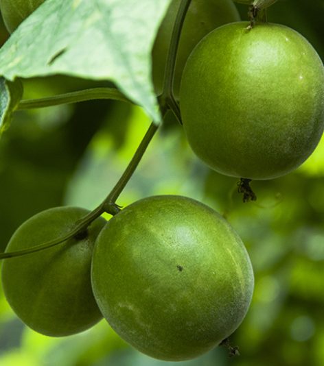 pinched fingers illustration