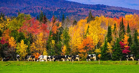 pinched fingers illustration