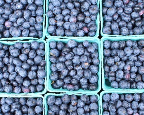 Re-Launching Our Internal Food Recovery Guide