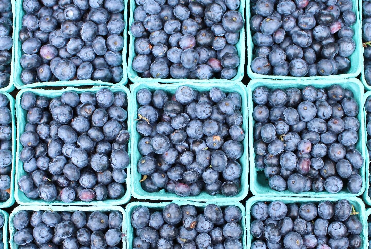 blueberries